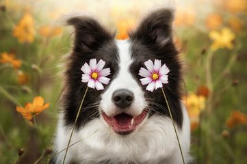 ETH钱包苹果版
